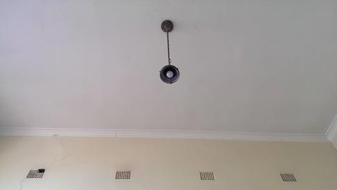 IMAG5542