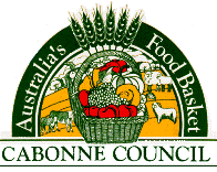 cabonne Council colour 200 wide