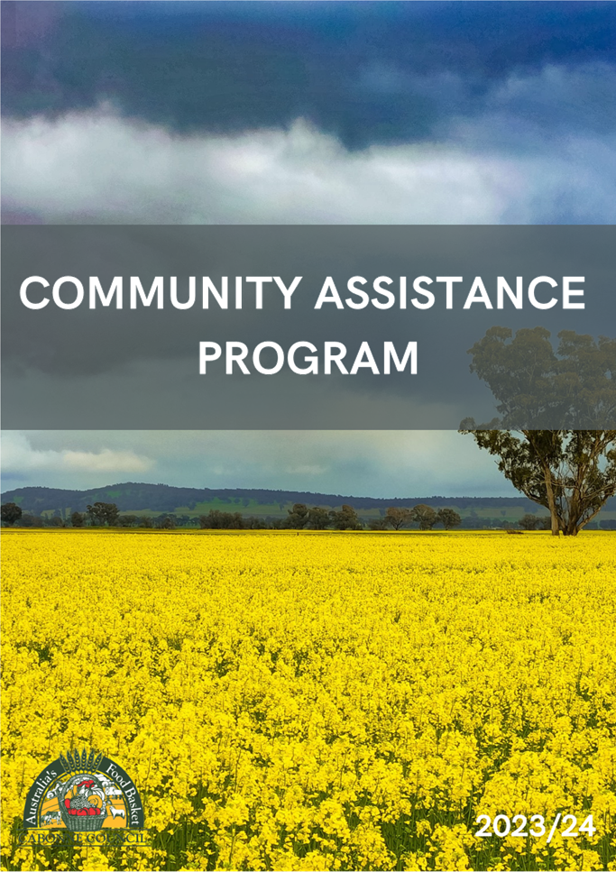 A field of yellow flowers

Description automatically generated