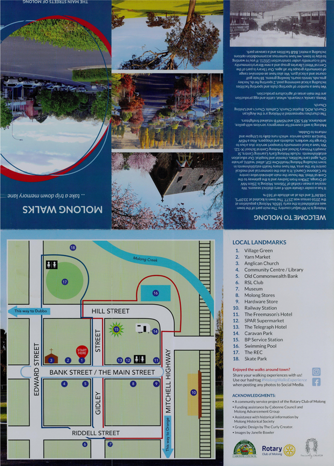 A close-up of a brochure

Description automatically generated