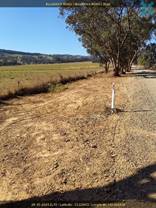 A dirt road with trees and grass

Description automatically generated